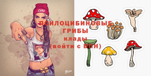 гидропоника Грязовец