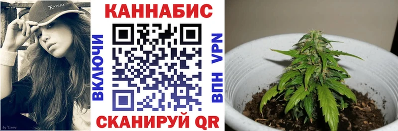 МАРИХУАНА конопля  Костомукша 